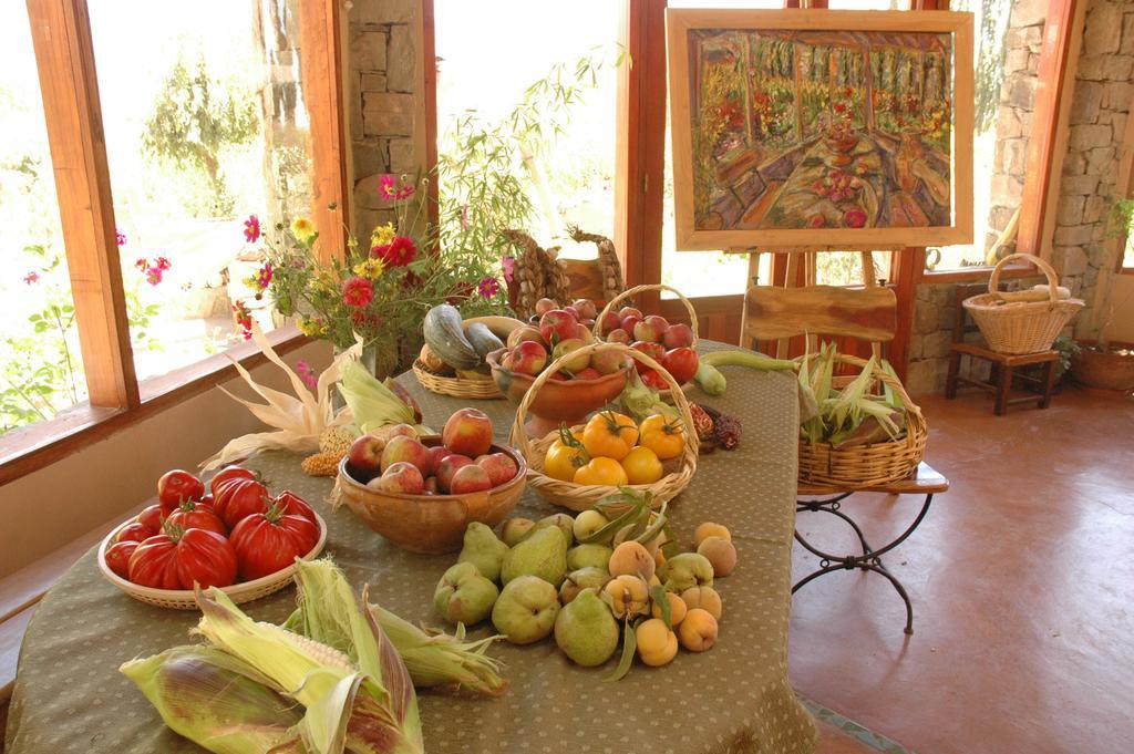 Solar Del Tropico Farm stay *