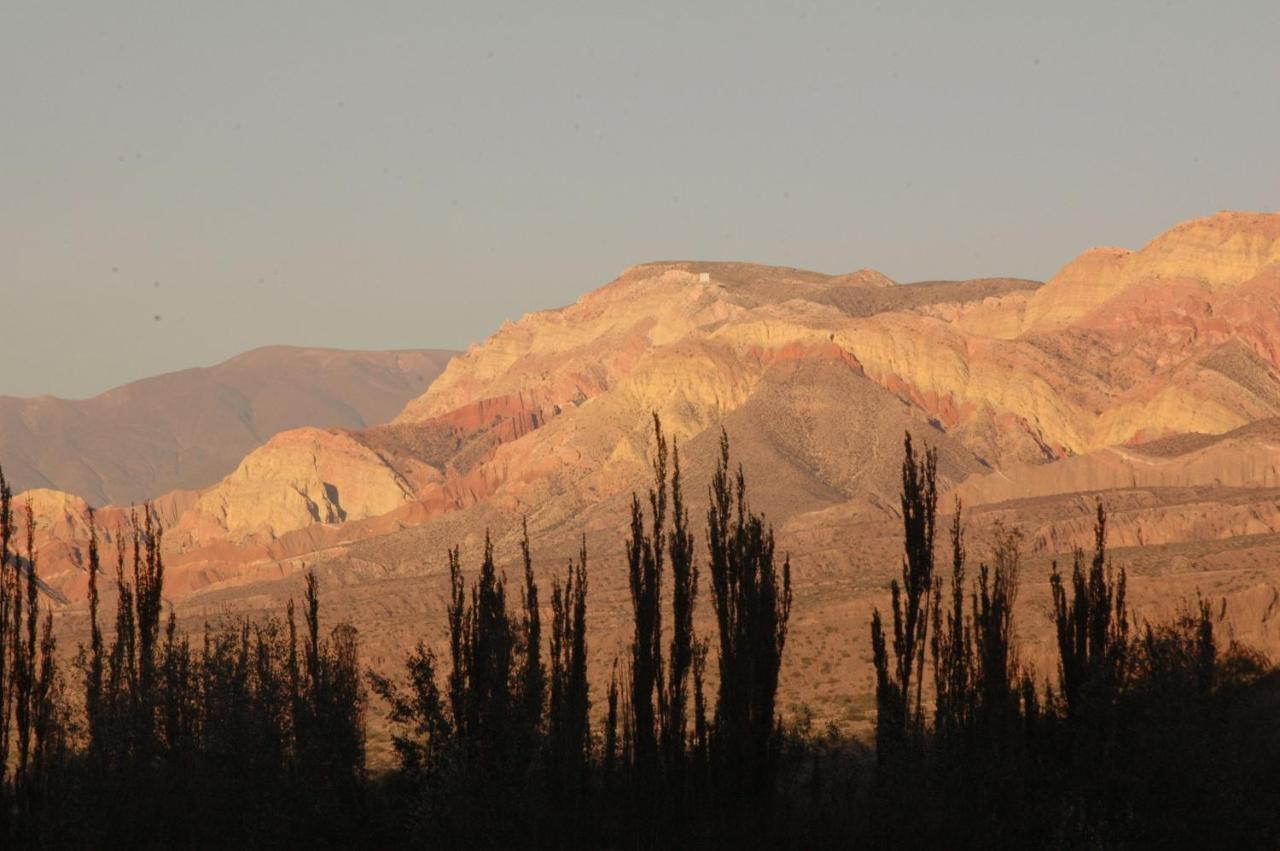 Solar Del Tropico Farm stay